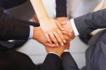 Learn ways to collaborate and forge relationships